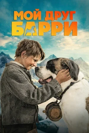 Сведения об участниках